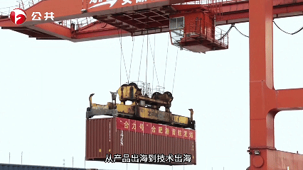 W020260204638264117590